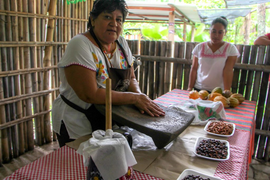 cocoa in chiapas