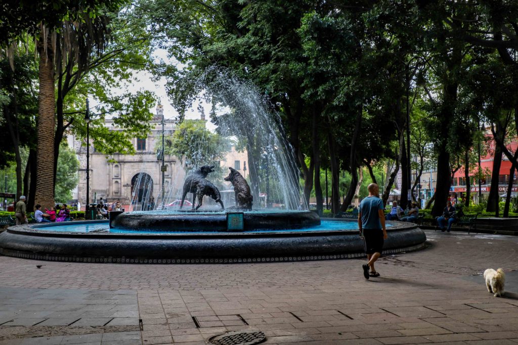 coyotes fountain