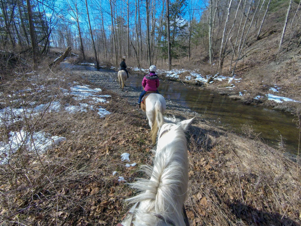 horse riding dreams