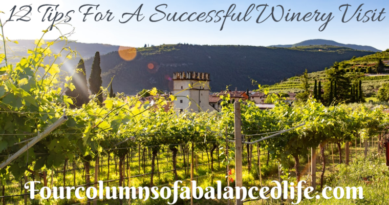 12 tips for a Successful Visit to a Winery
