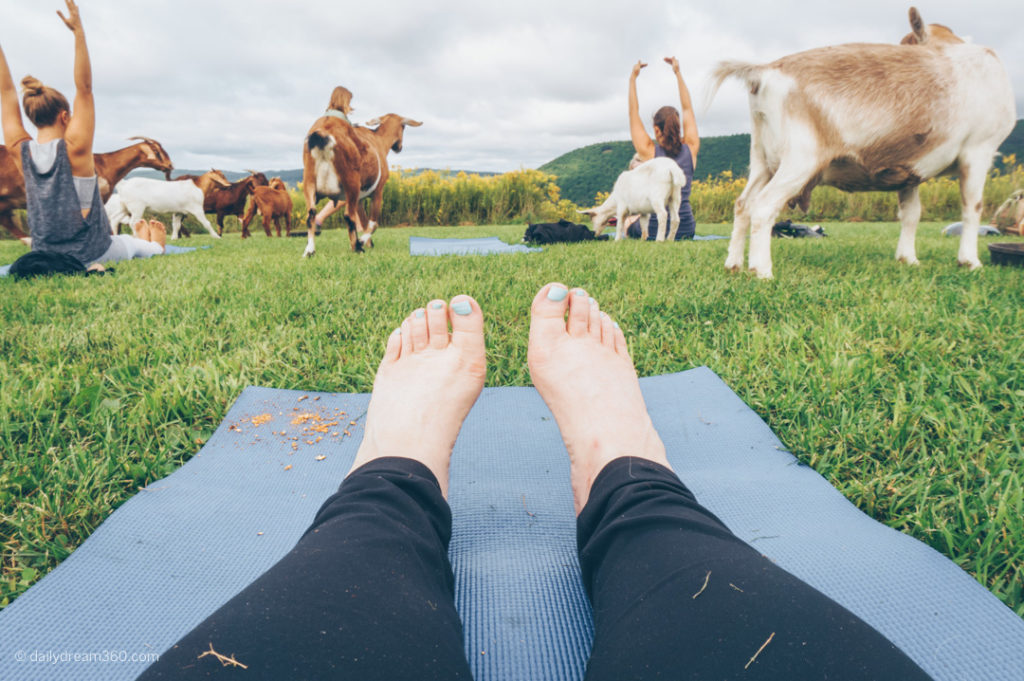 yoga