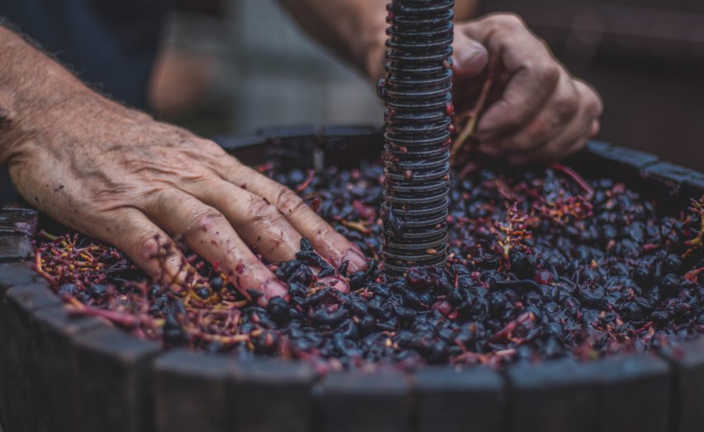 making wine