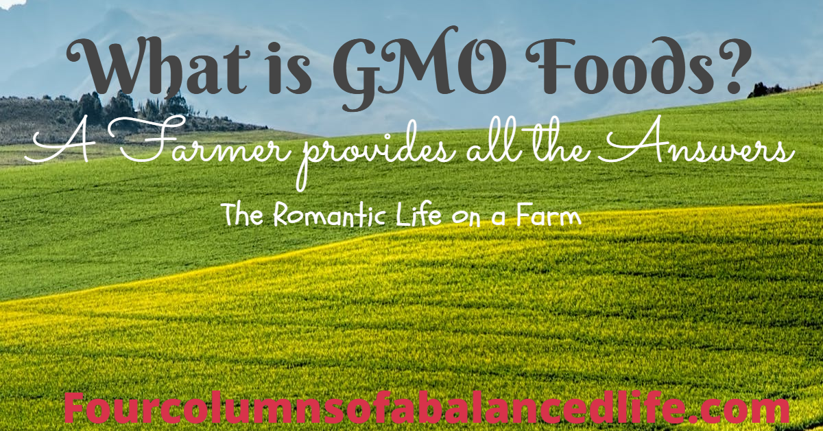 What is GMO? A Farmer Answers