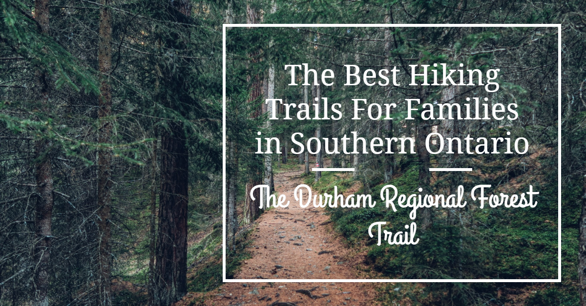 The Durham Regional Forest Trail