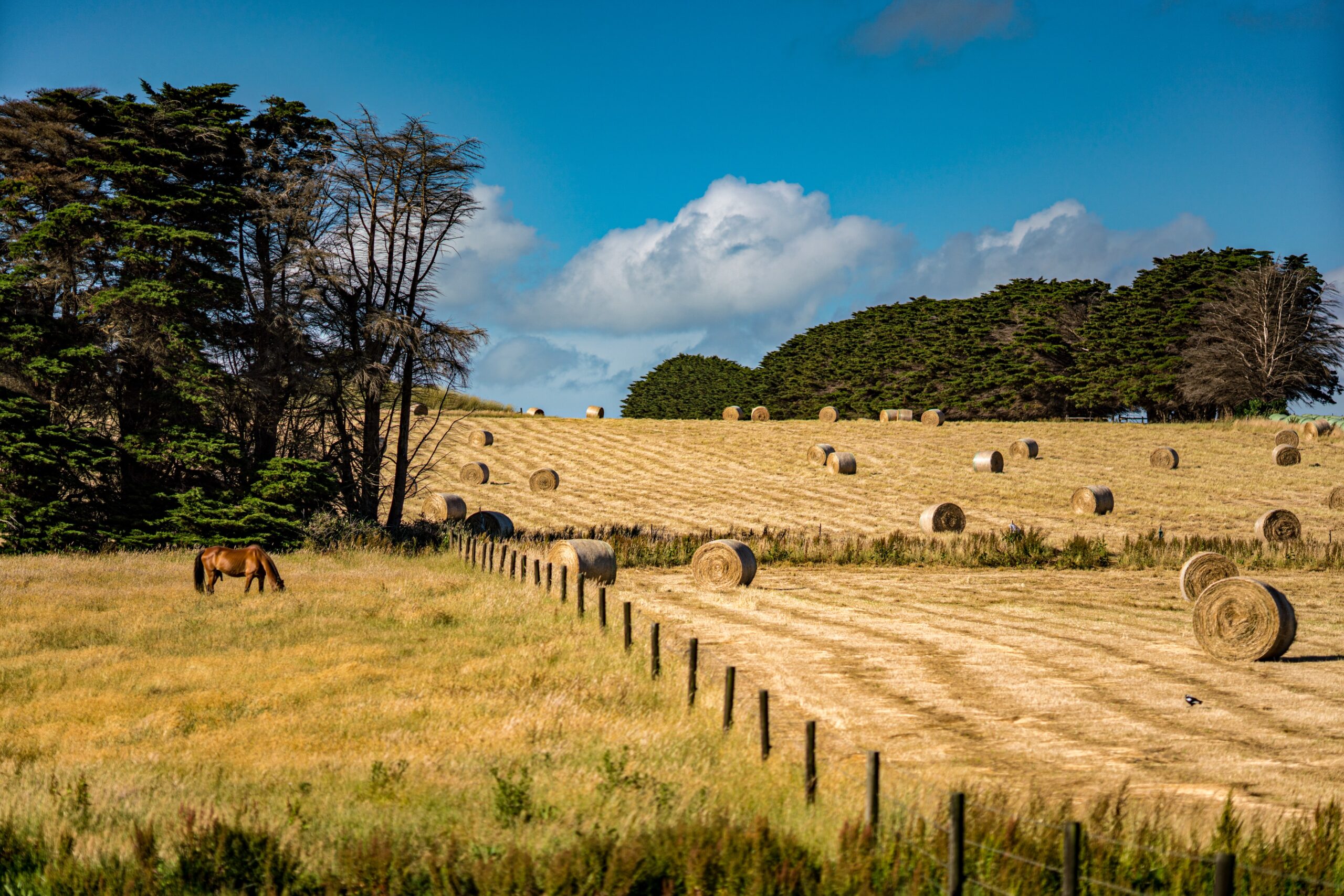 life on a farm