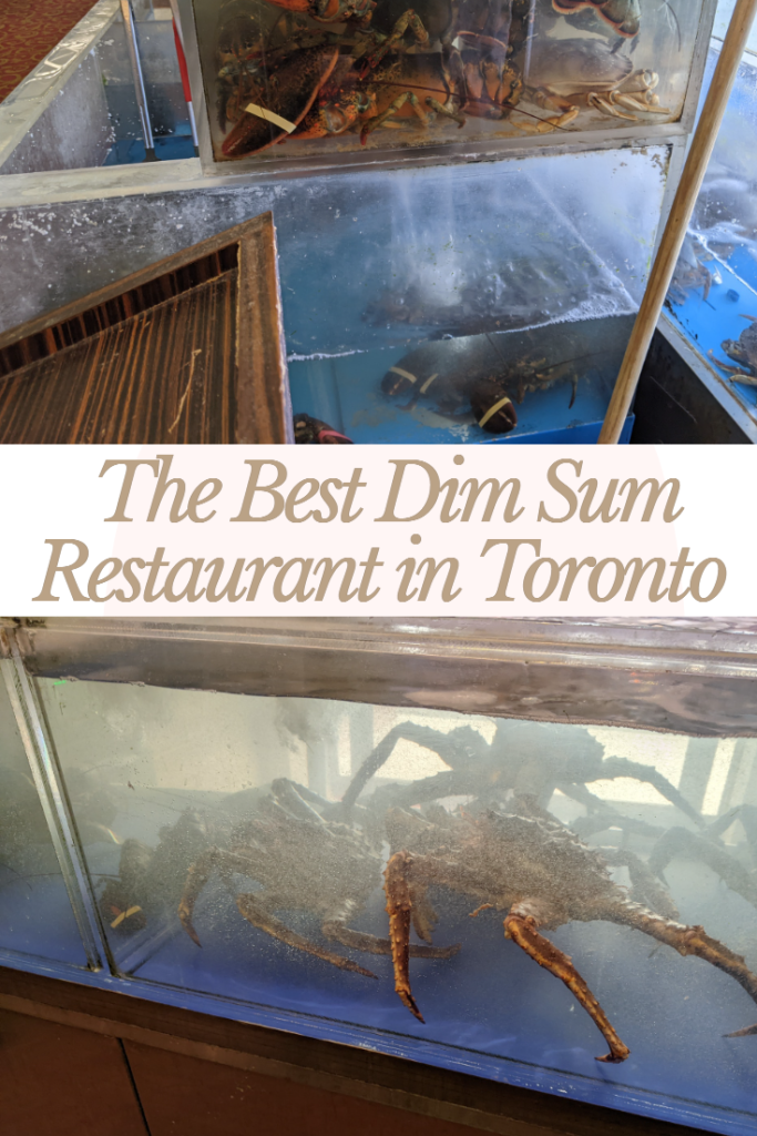 dim sum toronto